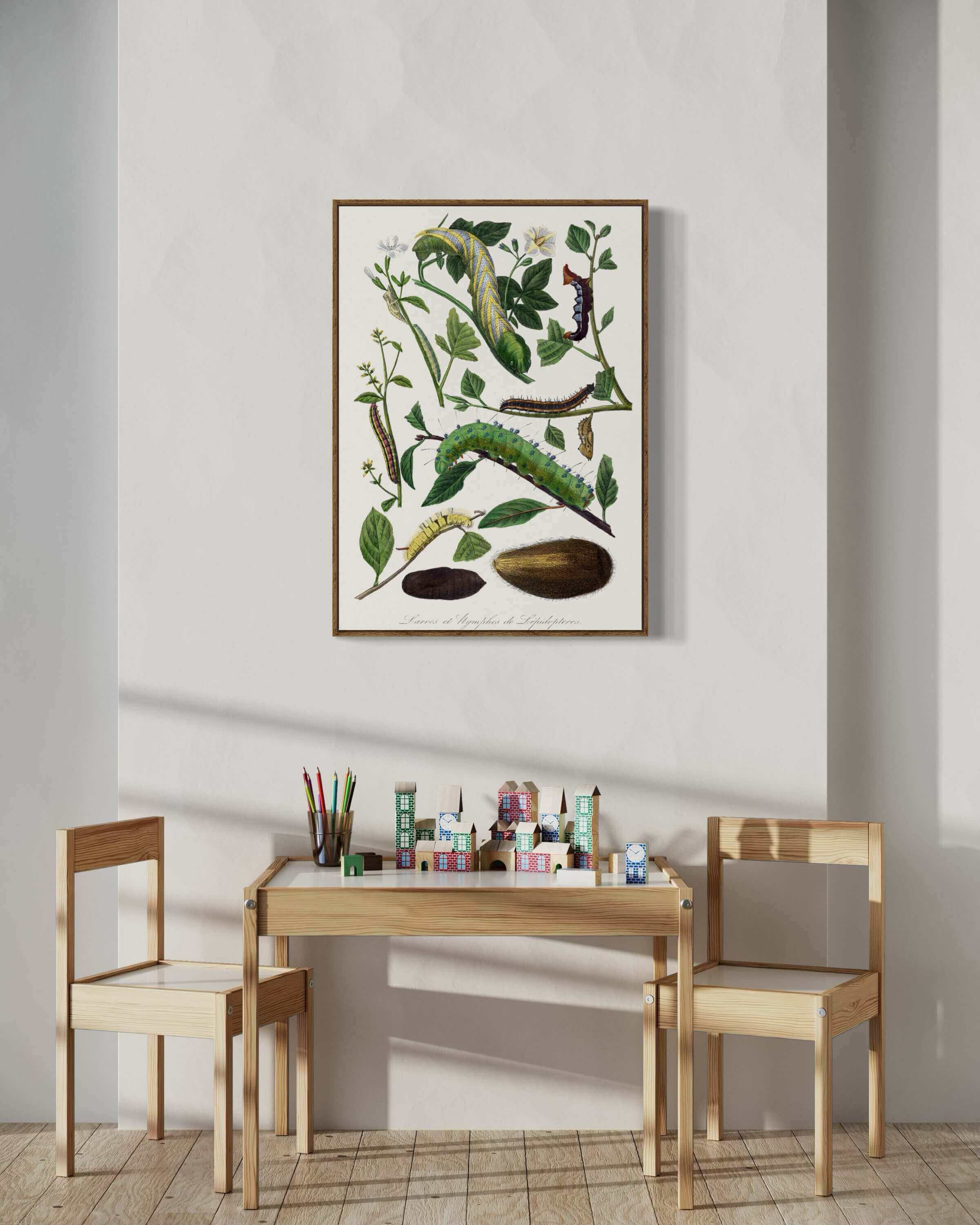 Botanisk Illustration af Larver