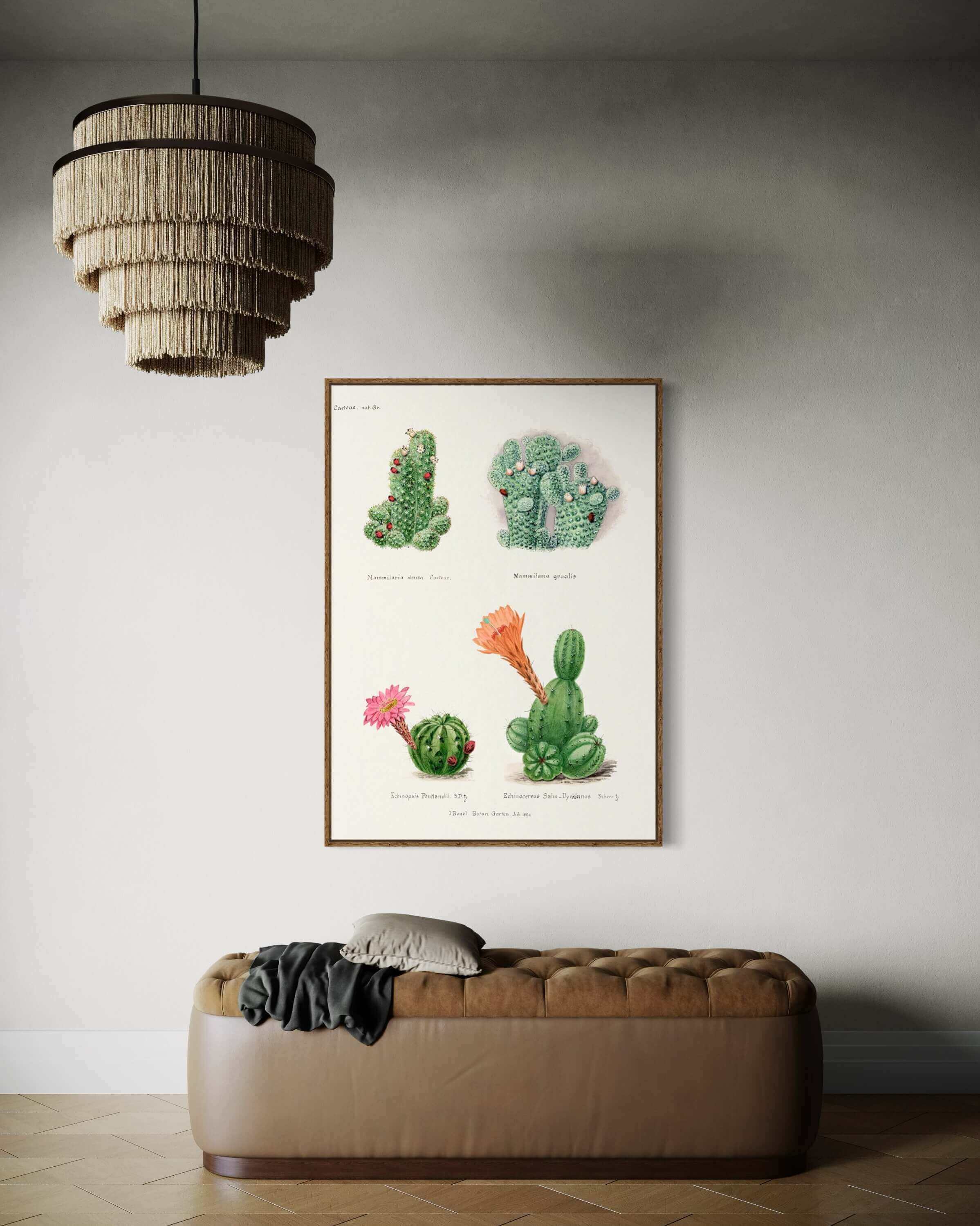 Botanisk Illustration af Kaktusser