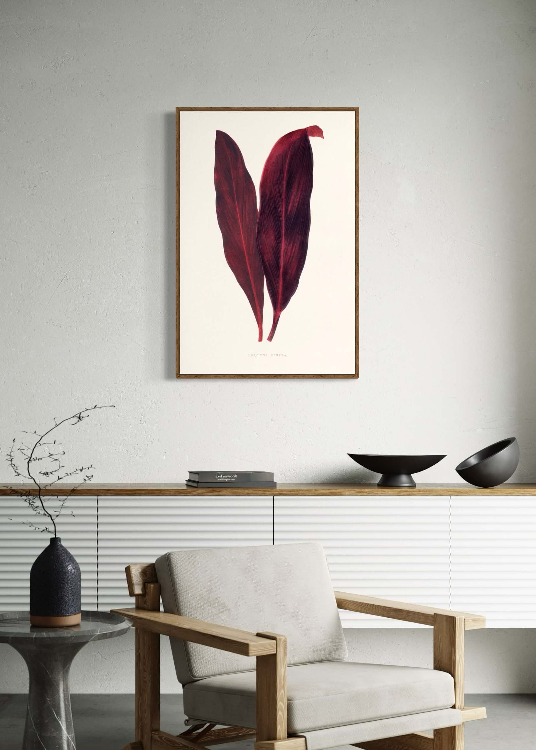 Pink Dracaena Ferrea leaf illustration