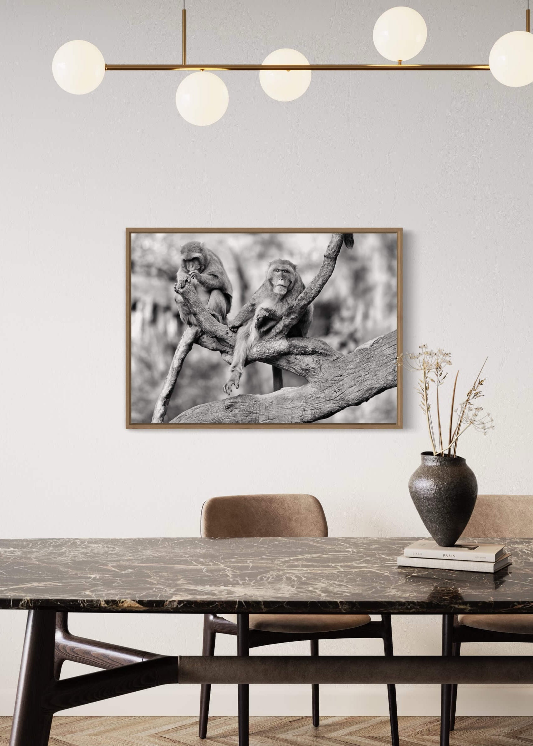 Foto af aber - sort/hvid