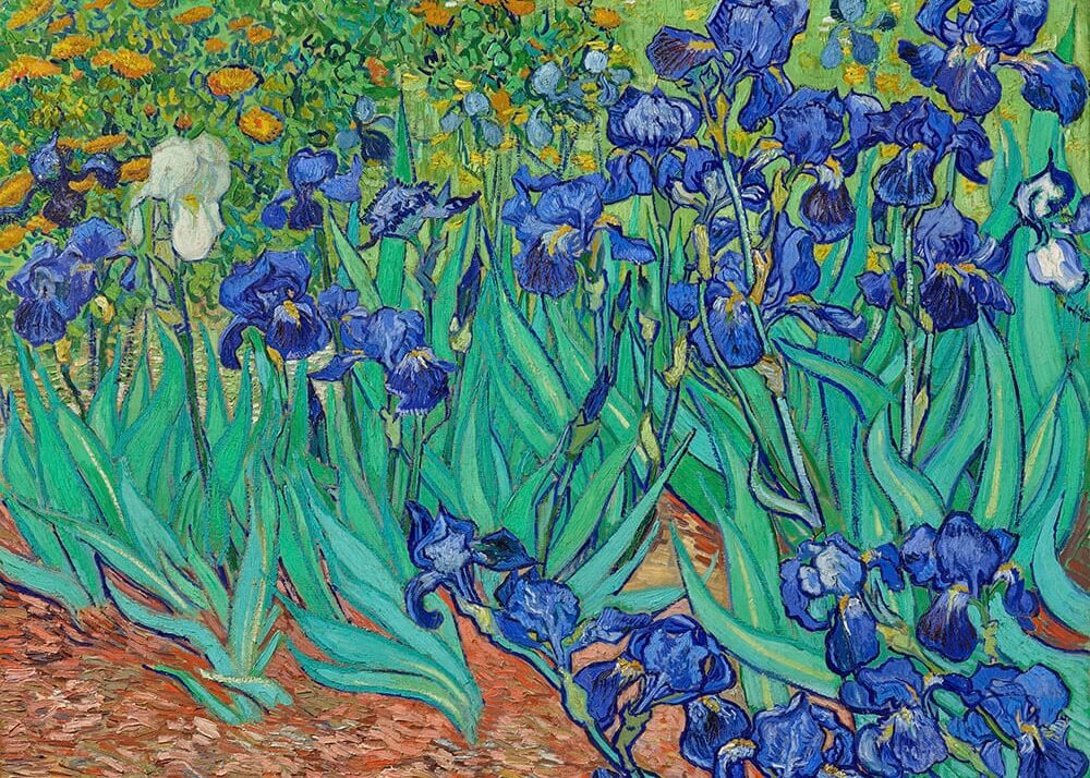 Irises - Van Gogh