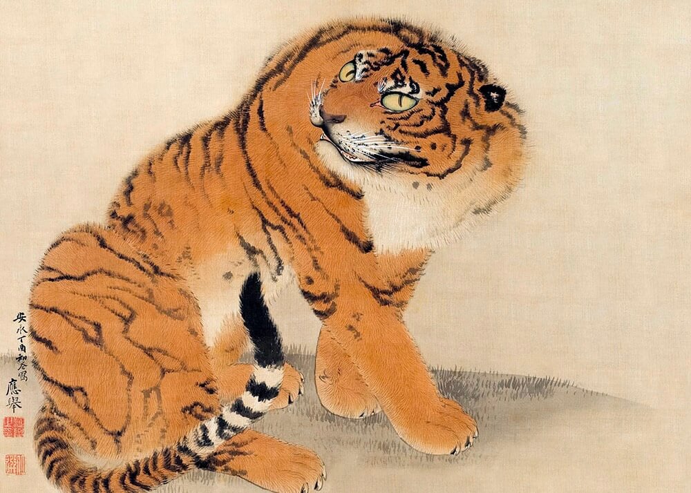 Japansk tiger