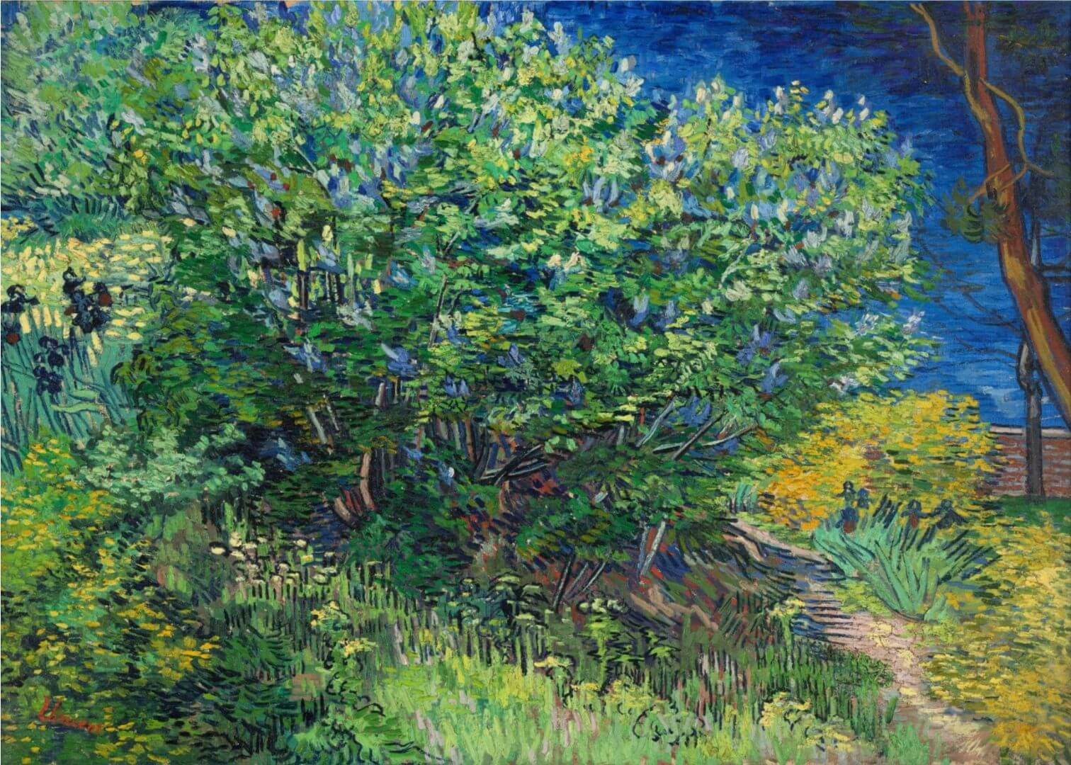 Lilac Bush (1889)