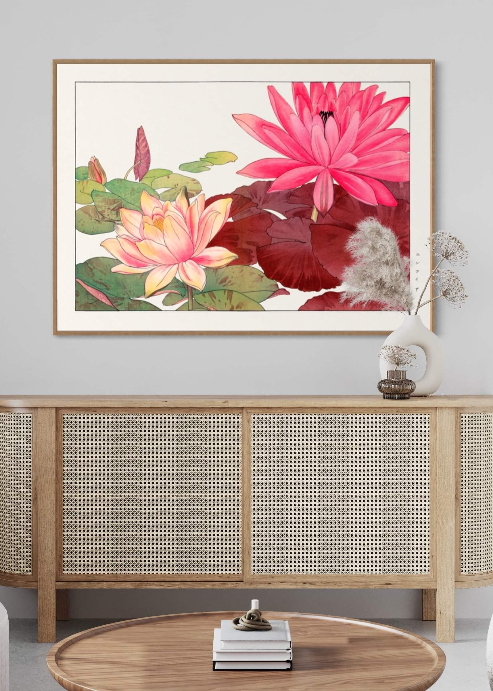 Nymphaea lotus