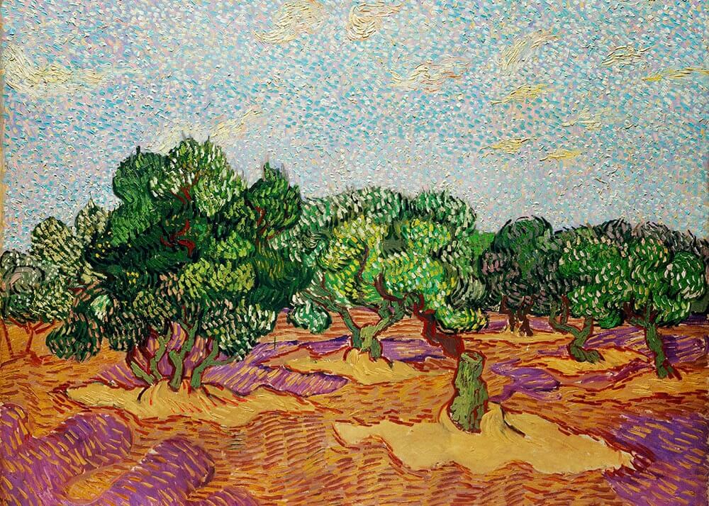 Olive Trees - Van Gogh