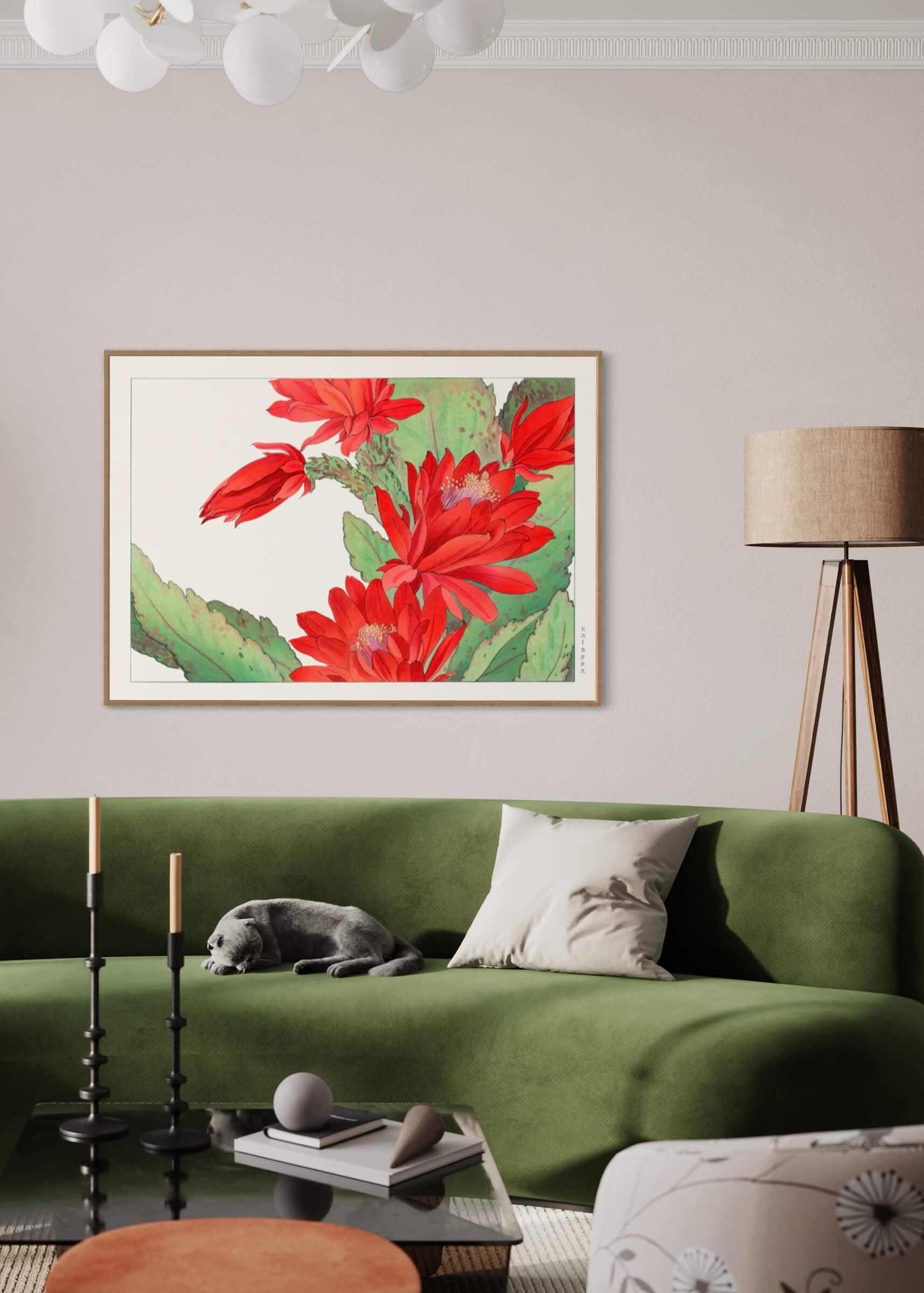 Phyiiocactus-blomsten
