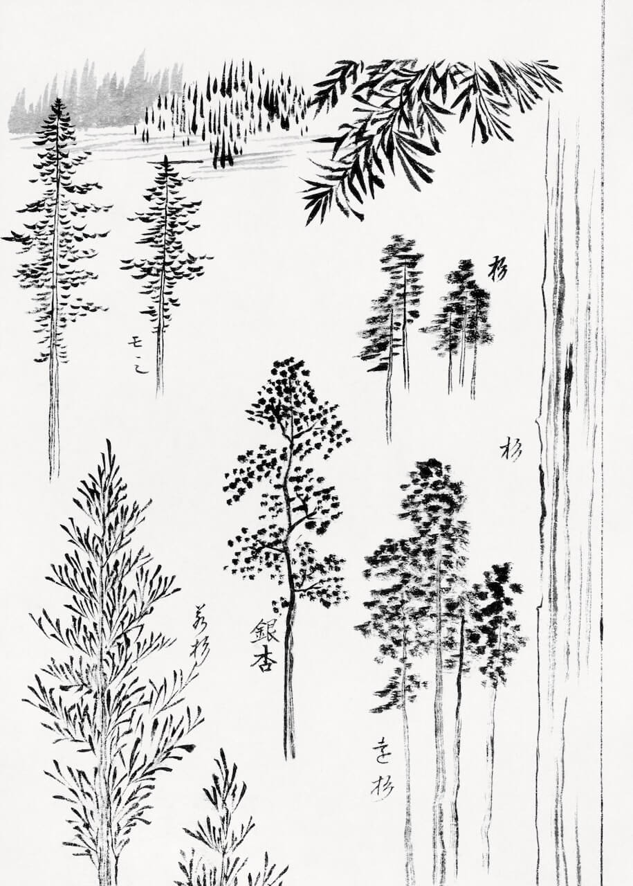 Pine trees af Katsushika