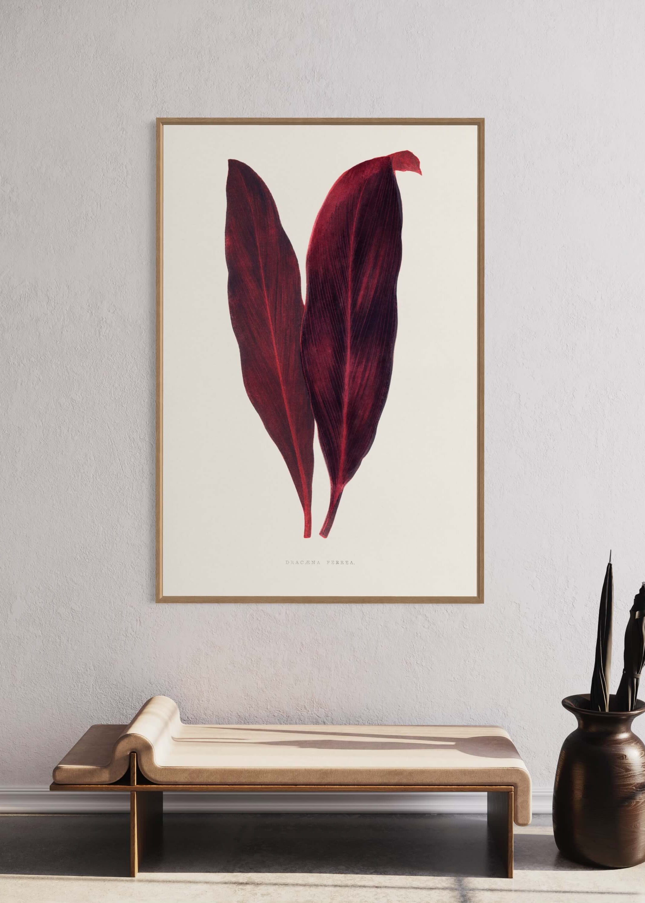 Pink Dracaena Ferrea leaf illustration