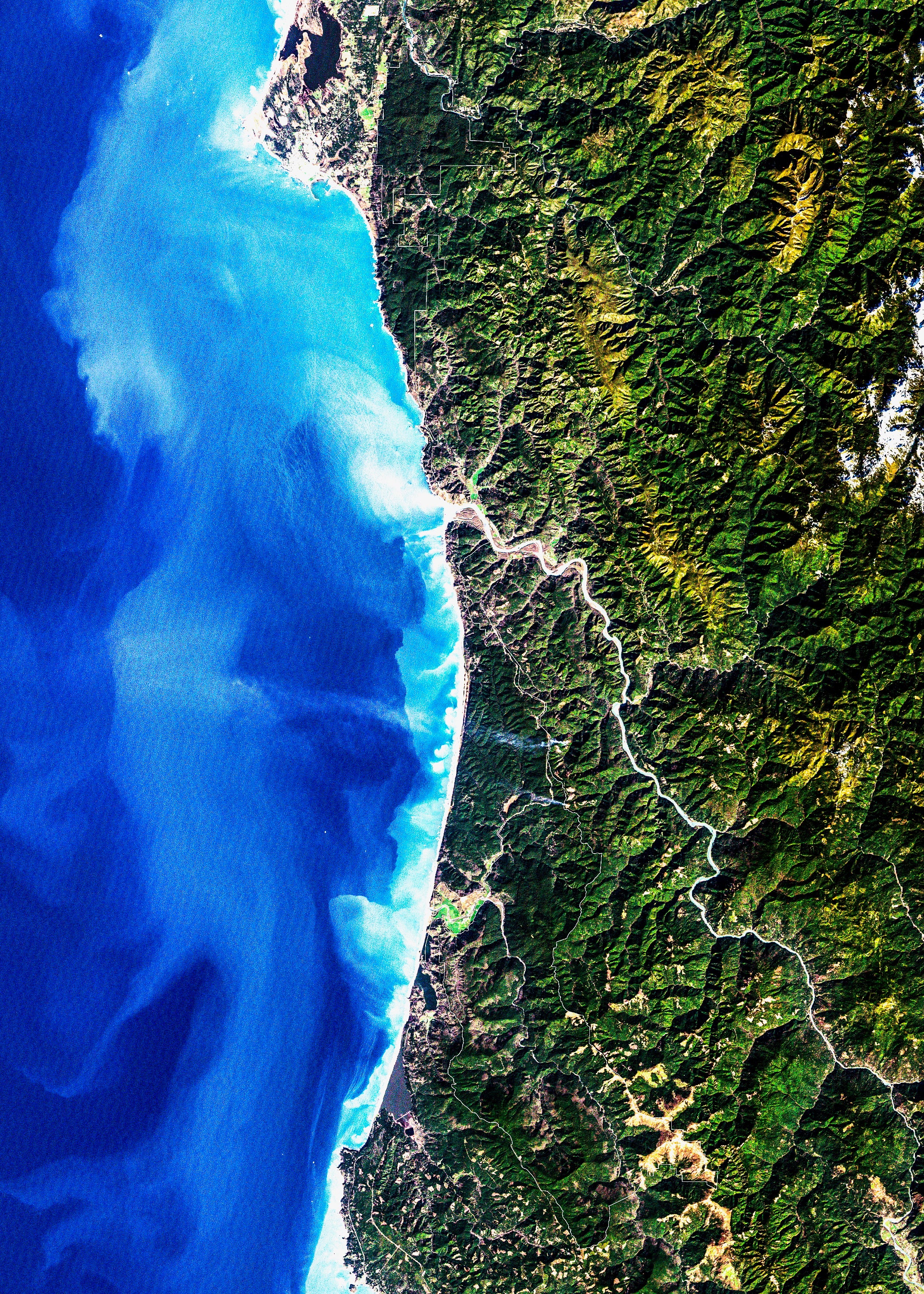 Redwood National Park