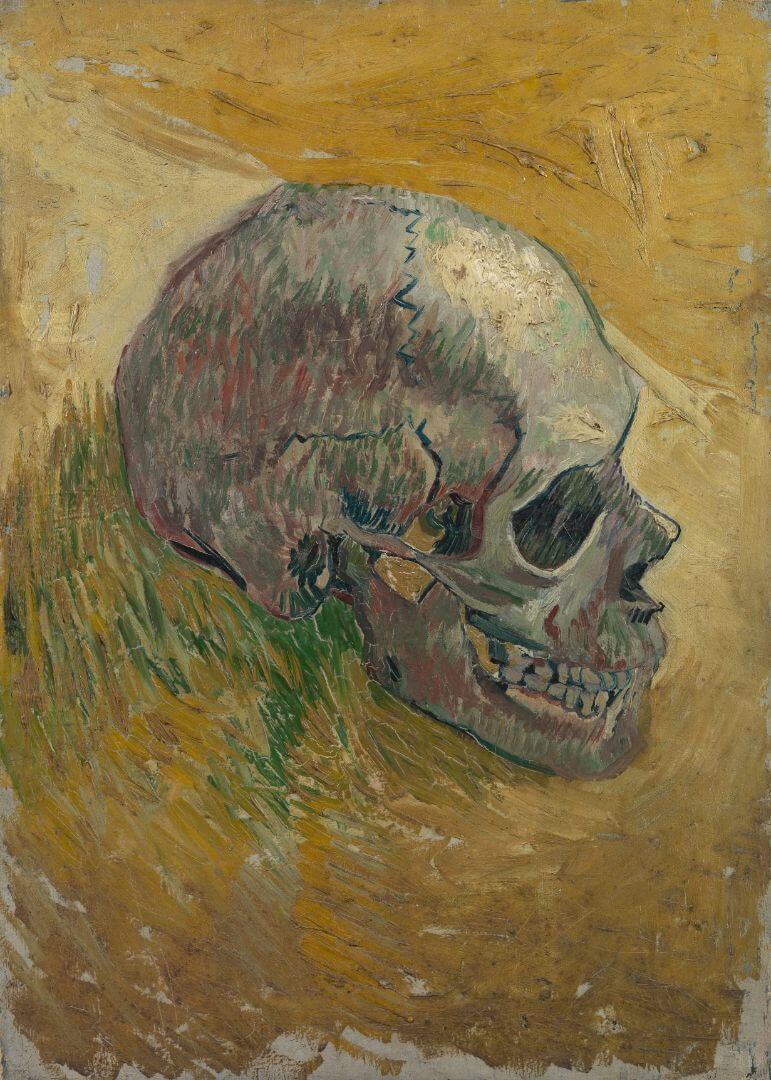 Skull (1887)