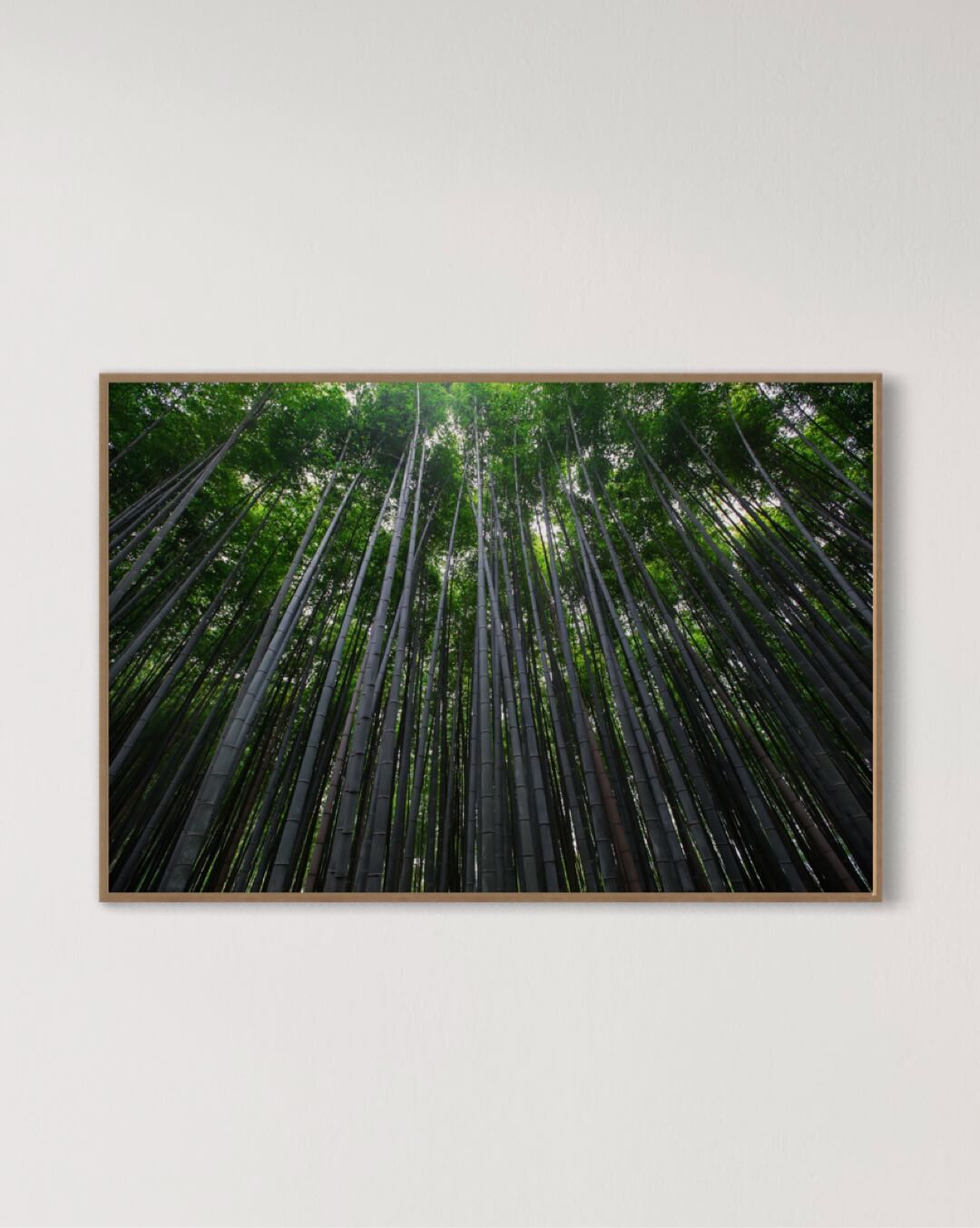 Tætte bambustræer