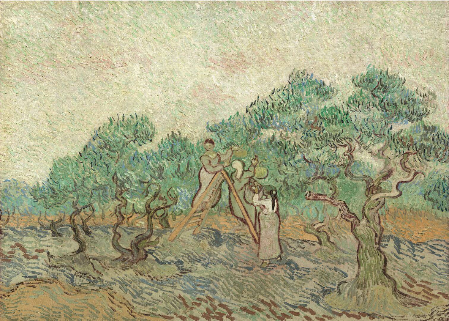 The Olive Orchard (1889)