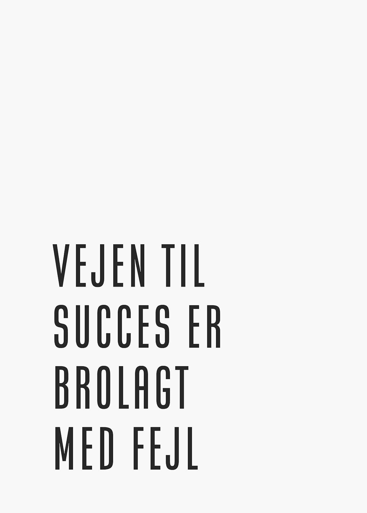 Vejen til succes er brolagt med fejl