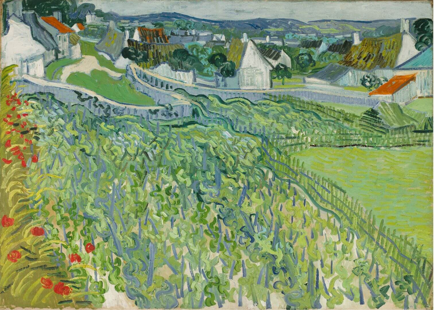 Vineyards at Auvers (1890)