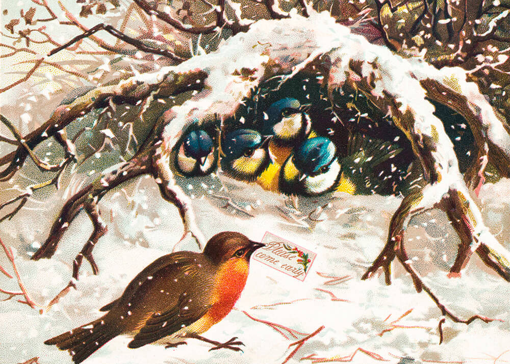 vintage christmas postcard depicting birds in snow