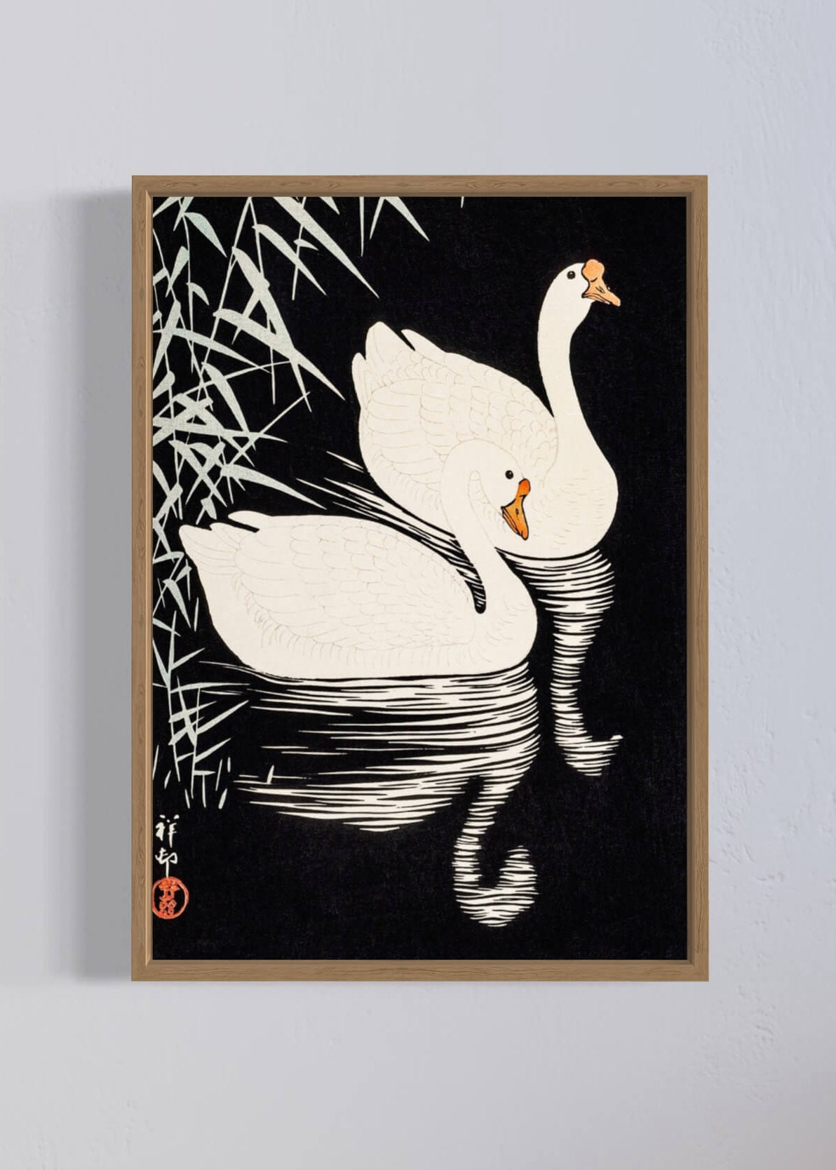 White Chinese Geese