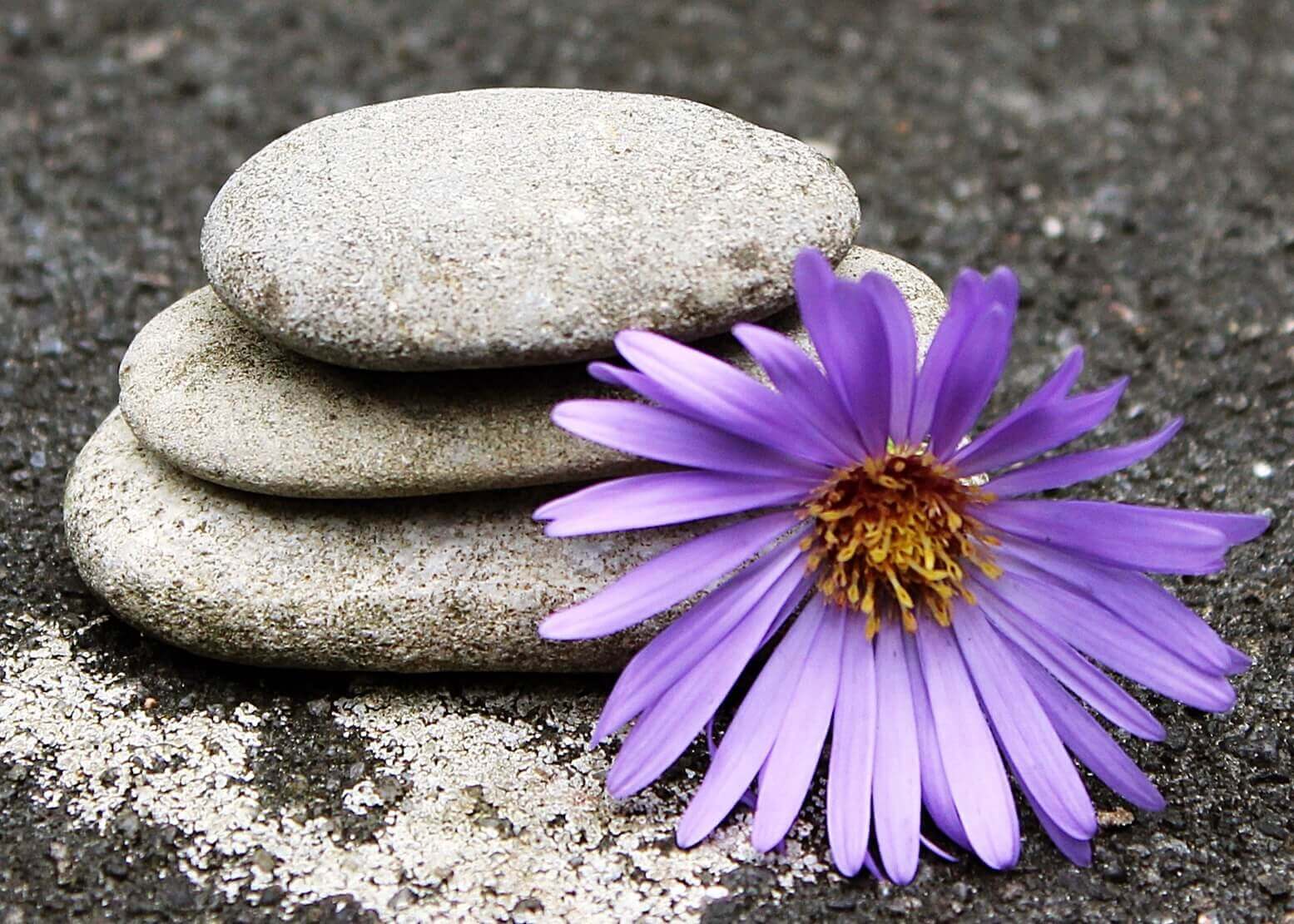 Yogasten ved blomst