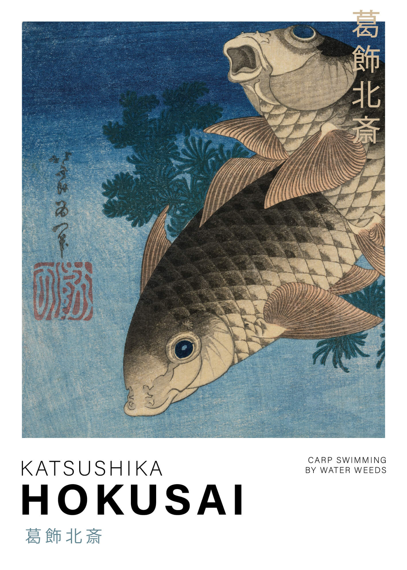 Carp Swimming by water weeds